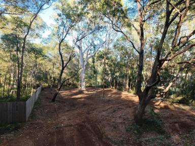 Residential Block For Sale - QLD - Russell Island - 4184 - Best Value Land on Russell Island – Privacy Guaranteed (Image 2)