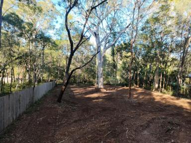 Residential Block For Sale - QLD - Russell Island - 4184 - Best Value Land on Russell Island – Privacy Guaranteed  (Image 2)