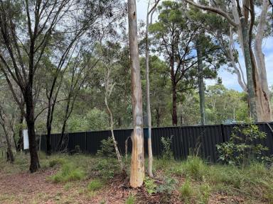 Residential Block For Sale - QLD - Russell Island - 4184 - LAND FOR SALE. (Image 2)