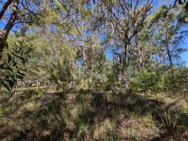 Residential Block Sold - QLD - Russell Island - 4184 - A Hidden Gem....Spacious 721m² Corner Block Near the Water!  (Image 2)