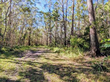 Residential Block For Sale - QLD - Russell Island - 4184 - 650m² Vacant Land in Central Russell Island – Walk to Shops & Ferry  (Image 2)