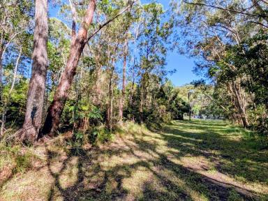 Residential Block For Sale - QLD - Russell Island - 4184 - 650m² Vacant Land in Central Russell Island – Walk to Shops & Ferry  (Image 2)