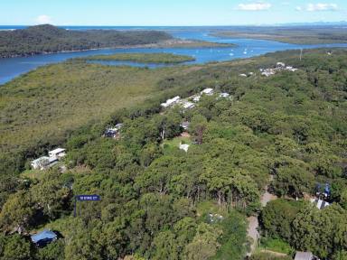Residential Block For Sale - QLD - Russell Island - 4184 - Trade the Noise for Bay Breezes & Absolute Peace!  (Image 2)