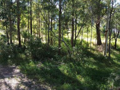 Residential Block For Sale - QLD - Russell Island - 4184 - Trade the Noise for Bay Breezes & Absolute Peace!  (Image 2)