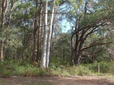 Residential Block For Sale - QLD - Russell Island - 4184 - Tranquil Setting with Conservation Outlook  (Image 2)