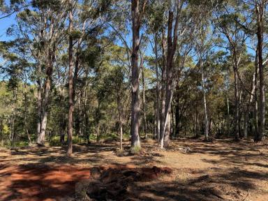 Residential Block For Sale - QLD - Russell Island - 4184 - BIG CORNER BLOCK IN TOWN AREA.  (Image 2)