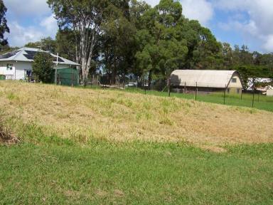 Residential Block For Sale - QLD - Lamb Island - 4184 - Secure your slice of paradise! Open to reasonable offers.  (Image 2)