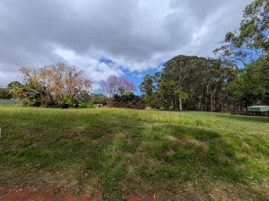 Residential Block For Sale - QLD - Russell Island - 4184 - Large 716m2 block close to the boat ramp! (Image 2)