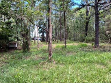 Residential Block For Sale - QLD - Russell Island - 4184 - Large Vacant, Cleared Town Centre Block!  (Image 2)