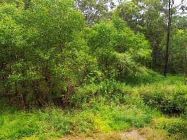 Residential Block For Sale - QLD - Russell Island - 4184 - Ready, Set, Build! An Opportunity at Russell Island’s Southern Tip!  (Image 2)
