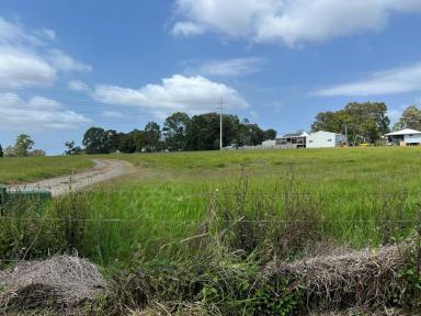 Residential Block For Sale - QLD - Russell Island - 4184 - AMAZING PARCEL OF LAND ON CANAIPA RD  (Image 2)