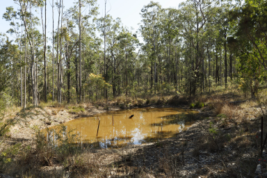 Lifestyle For Sale - NSW - Ramornie - 2460 - 100 ACRES OF PRIVACY, BUSHLAND & FREEDOM - ON RAMORNIE STATION ROAD  (Image 2)