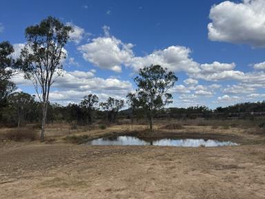 Lifestyle For Sale - QLD - Stanwell - 4702 - COUNTRY LIVING WITHOUT LEAVING TOWN CONVENIENCE BEHIND (Image 2)