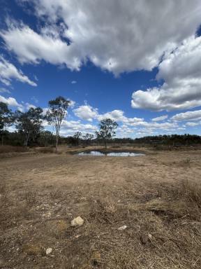 Lifestyle For Sale - QLD - Stanwell - 4702 - COUNTRY LIVING WITHOUT LEAVING TOWN CONVENIENCE BEHIND (Image 2)