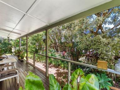 House For Sale - QLD - Lamb Island - 4184 - A Leafy Island Retreat  (Image 2)