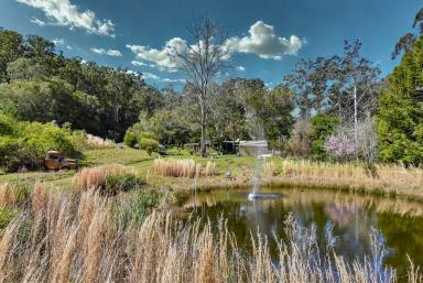 Lifestyle For Sale - NSW - Laguna - 2325 - Charming Character Home on 40 Private Acres  (Image 2)