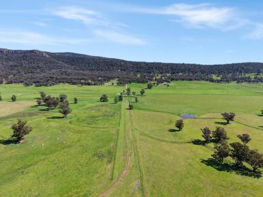 Mixed Farming For Sale - NSW - Murga - 2864 - 1,165 ACRE MIXED GRAZING & FARMING OPERATION (Image 2)