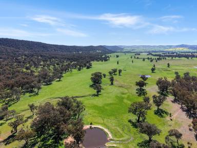 Mixed Farming For Sale - NSW - Murga - 2864 - 1,165 ACRE MIXED GRAZING & FARMING OPERATION (Image 2)