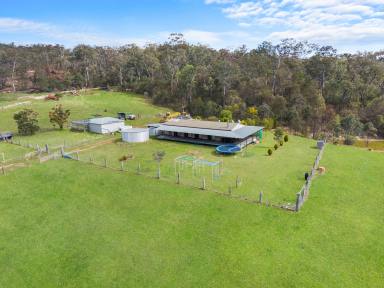 Lifestyle For Sale - NSW - Putty - 2330 - Escape to Ultimate Tranquility: Expansive 285-Acre Lifestyle Retreat in Putty  (Image 2)