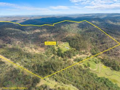 Lifestyle For Sale - NSW - Putty - 2330 - Escape to Ultimate Tranquility: Expansive 285-Acre Lifestyle Retreat in Putty  (Image 2)