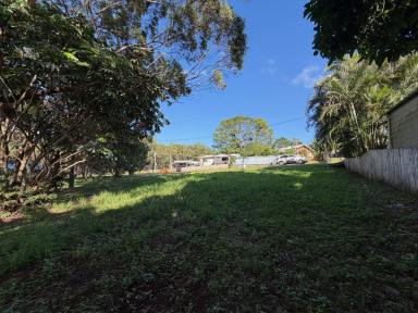 Residential Block Sold - QLD - Russell Island - 4184 - GREAT BLOCK IN TOWN  (Image 2)
