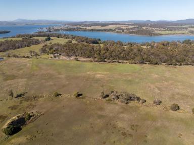Residential Block For Sale - TAS - Clarence Point - 7270 - 8.45Ha of level pasture  (Image 2)