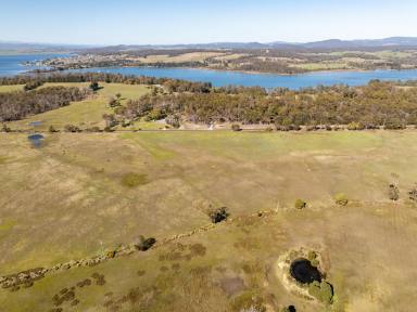 Residential Block For Sale - TAS - Clarence Point - 7270 - 8.45Ha of level pasture  (Image 2)