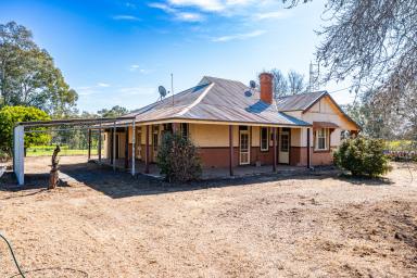 Mixed Farming For Sale - NSW - Henty - 2658 - GENUINE MIXED FARMING COUNTRY WITH SCOPE  (Image 2)