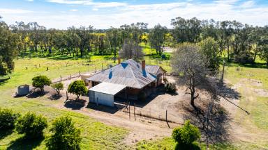 Mixed Farming For Sale - NSW - Henty - 2658 - GENUINE MIXED FARMING COUNTRY WITH SCOPE  (Image 2)