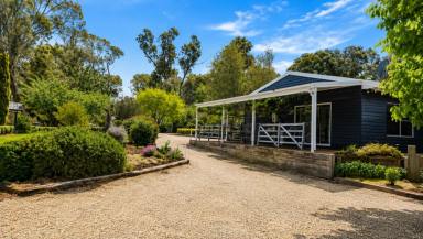 Acreage/Semi-rural For Sale - VIC - Munro - 3862 - Peaceful Country Living on 100 Acres - Just Minutes from Stratford Vic (Image 2)