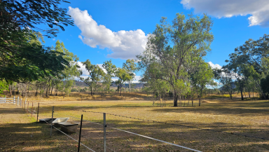 House For Sale - QLD - Gayndah - 4625 - 5.3-Acre Rural Oasis - Sustainable Living Minutes from Gayndah  (Image 2)