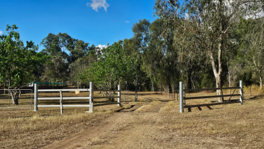 House For Sale - QLD - Gayndah - 4625 - 5.3-Acre Rural Oasis - Sustainable Living Minutes from Gayndah  (Image 2)