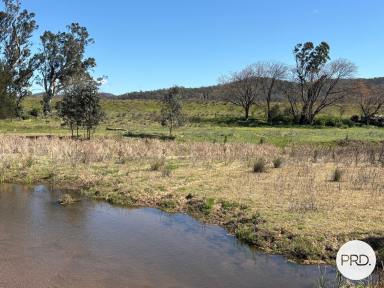 Mixed Farming For Sale - NSW - Baerami - 2333 - Build Your Dream on the Goulburn River  (Image 2)