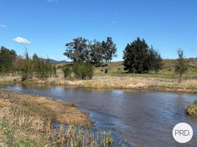 Mixed Farming For Sale - NSW - Baerami - 2333 - Build Your Dream on the Goulburn River  (Image 2)
