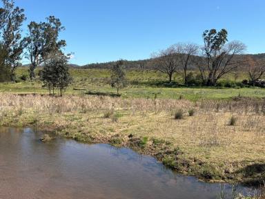 Mixed Farming For Sale - NSW - Baerami - 2333 - Build Your Dream on the Goulburn River  (Image 2)