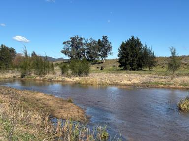 Mixed Farming For Sale - NSW - Baerami - 2333 - Build Your Dream on the Goulburn River  (Image 2)