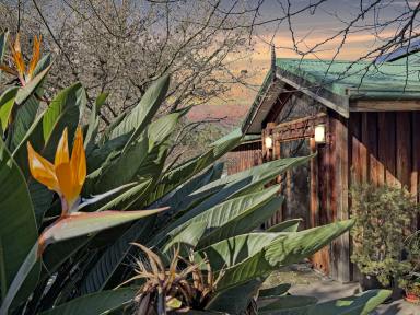 Acreage/Semi-rural For Sale - NSW - Wollombi - 2325 - Stunning Architecturally Designed Treehouse-Style Residence  (Image 2)