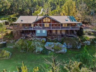 Acreage/Semi-rural For Sale - NSW - Wollombi - 2325 - Stunning Architecturally Designed Treehouse-Style Residence  (Image 2)