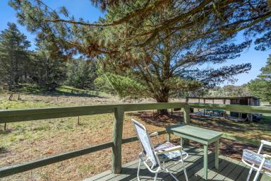 Lifestyle Sold - NSW - Carrick - 2580 - Private Acreage with Dwelling Permissibility  (Image 2)