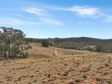 Lifestyle For Sale - NSW - Jerangle - 2630 - A Practical Holding with Plenty of Space  (Image 2)