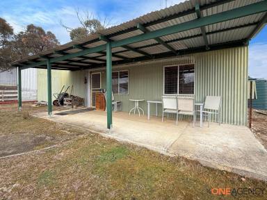 Lifestyle For Sale - NSW - Jerangle - 2630 - A Practical Holding with Plenty of Space  (Image 2)