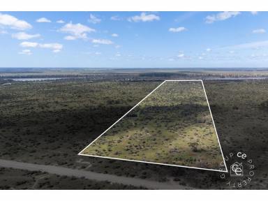 Lifestyle For Sale - SA - Punyelroo - 5353 - Perfect Playground Lifestyle Block  (Image 2)