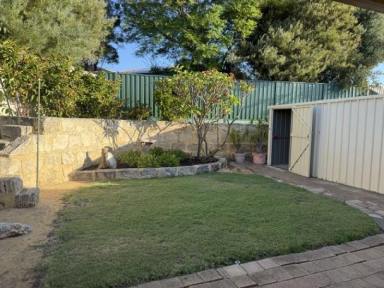 House For Lease - WA - Clarkson - 6030 - Clarkson. 3 x 1 with additional toilet. Pets considered. (Image 2)