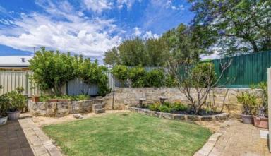 House For Lease - WA - Clarkson - 6030 - Clarkson. 3 x 1 with additional toilet. Pets considered. (Image 2)