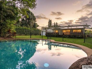 House For Sale - QLD - Wongaling Beach - 4852 - Where the Rainforest Meets The Beach.  (Image 2)