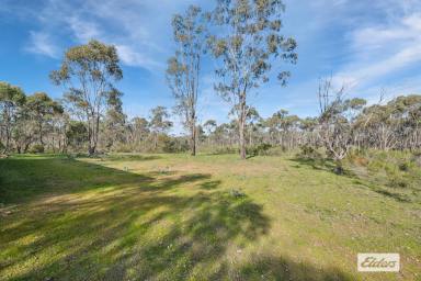 Residential Block For Sale - VIC - Eppalock - 3551 - 20 Acres Zoned Rural Living with Approved Construction Permit  (Image 2)