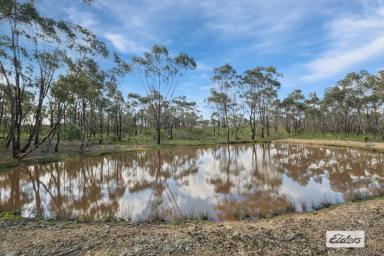 Residential Block For Sale - VIC - Eppalock - 3551 - 20 Acres Zoned Rural Living with Approved Construction Permit  (Image 2)