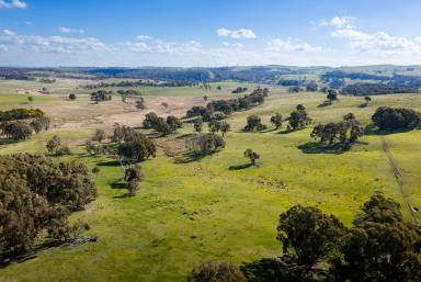 Other (Rural) Auction - NSW - Gurrundah - 2581 - 83.11ha of Productive Grazing, Natural Beauty & Rural Lifestyle Potential (Image 2)