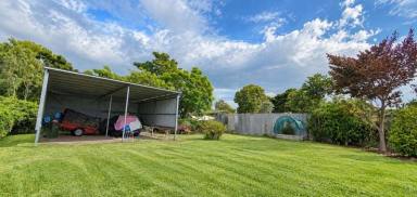 Residential Block For Sale - QLD - Collinsville - 4804 - Fully Fenced 1,012m² Block with Services & Existing Improvements  (Image 2)