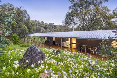 House For Sale - WA - Gooseberry Hill - 6076 - Space, Style and Serenity in Gooseberry Hill  (Image 2)